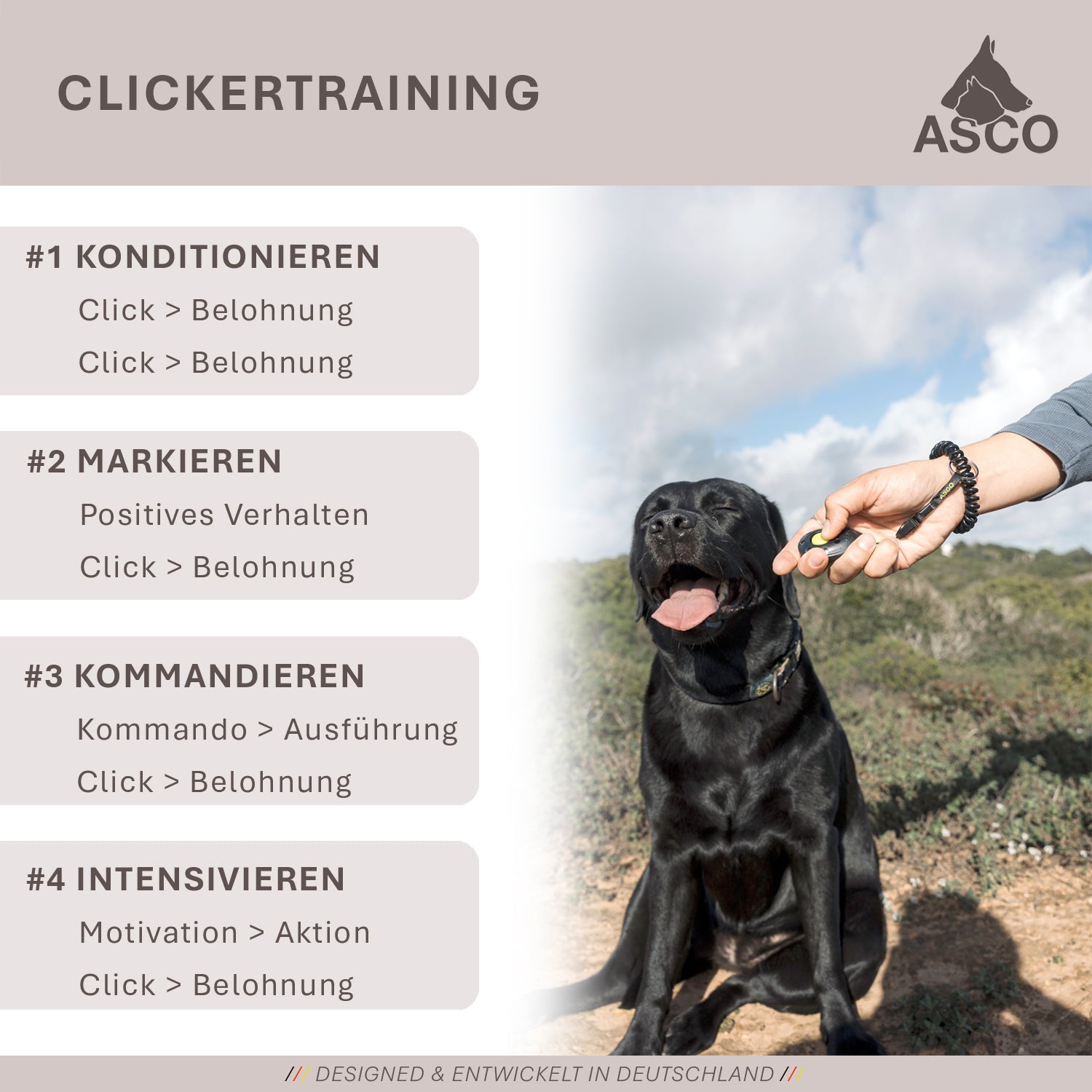ASCO ClickStick - Target Stick mit abnehmbarem Premium Clicker