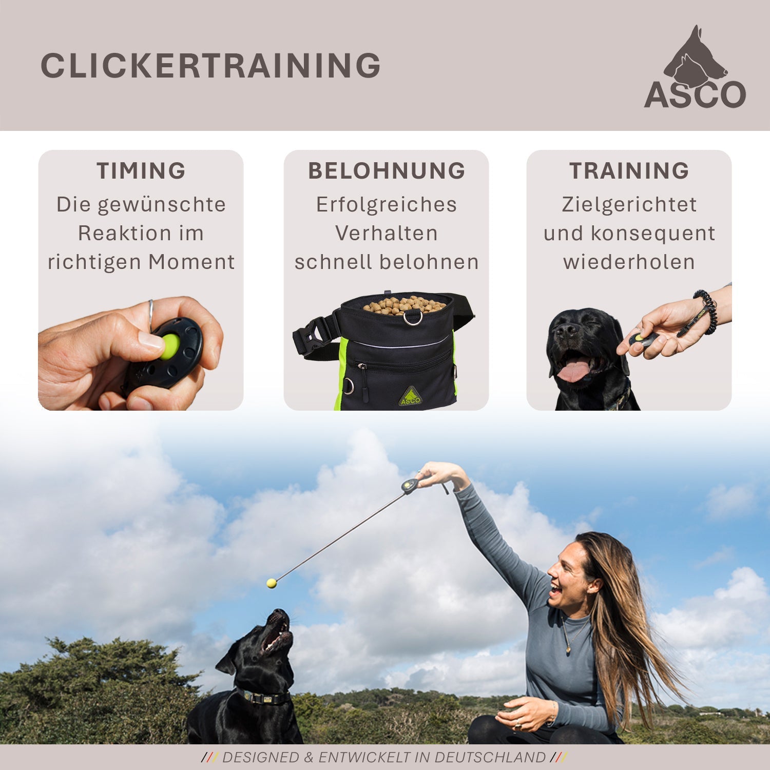 ASCO ClickStick - Target Stick mit abnehmbarem Premium Clicker