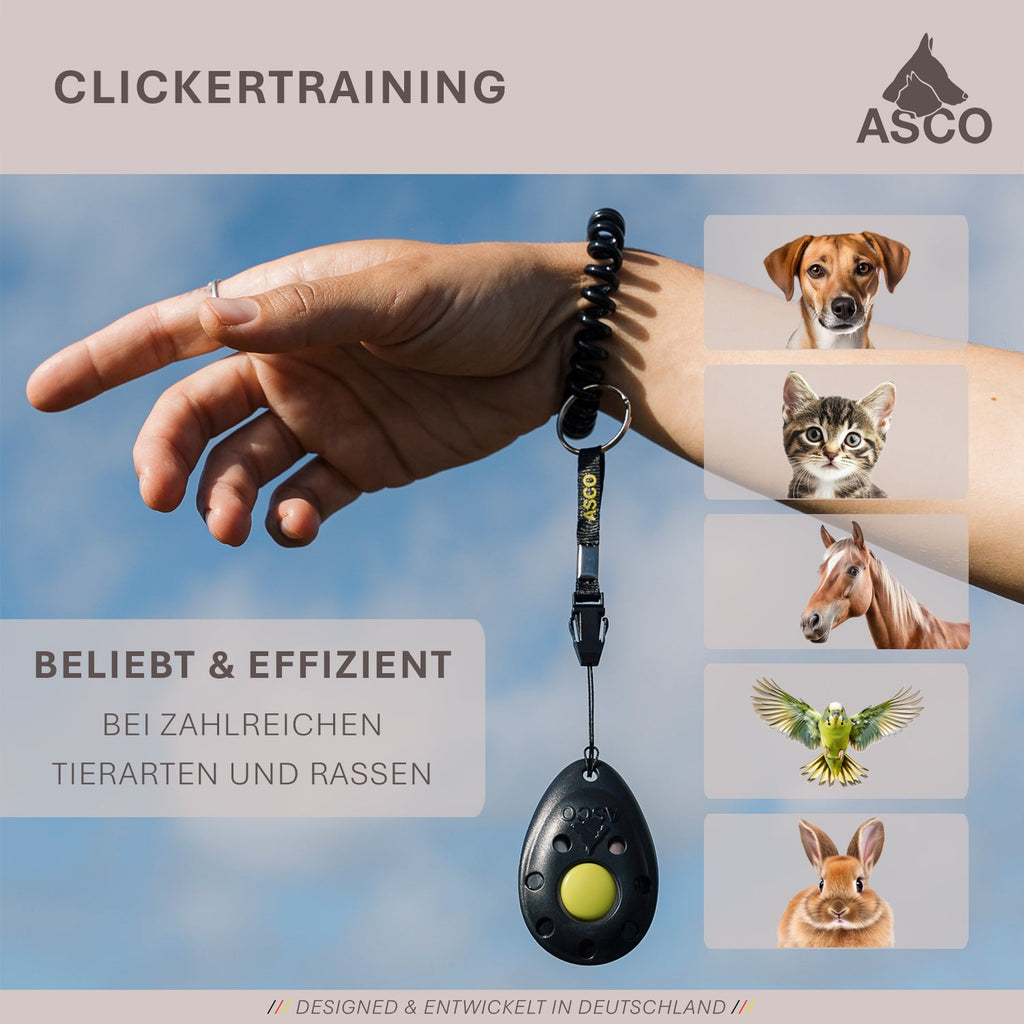 ASCO Premium Clicker für Hunde und Katzen Clickertraining
