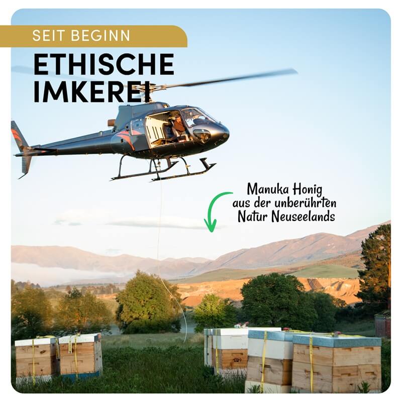 MV Manuka Honig MGO 800+, 250g